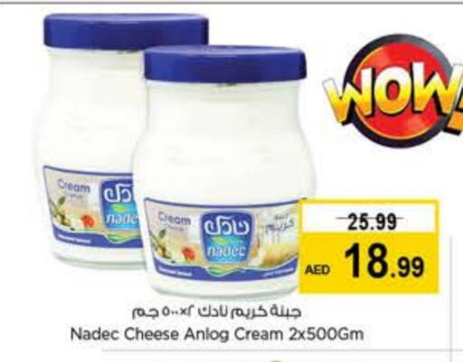 NADEC Cream Cheese available at Last Chance  in UAE - Sharjah / Ajman