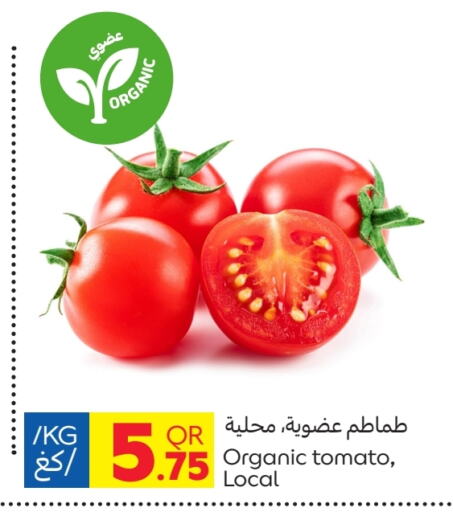 Tomato available at Carrefour in Qatar - Al Rayyan