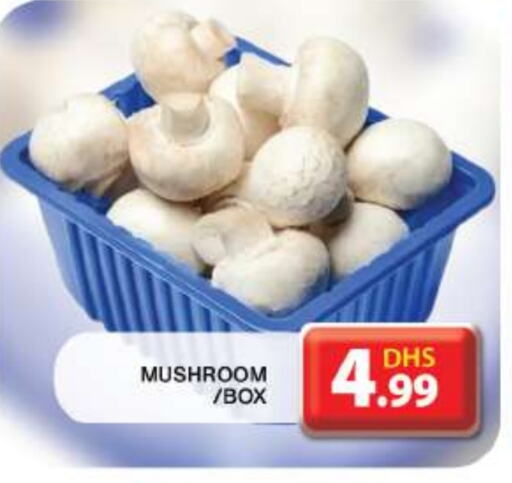 Mushroom available at Grand Hyper Market in UAE - Dubai