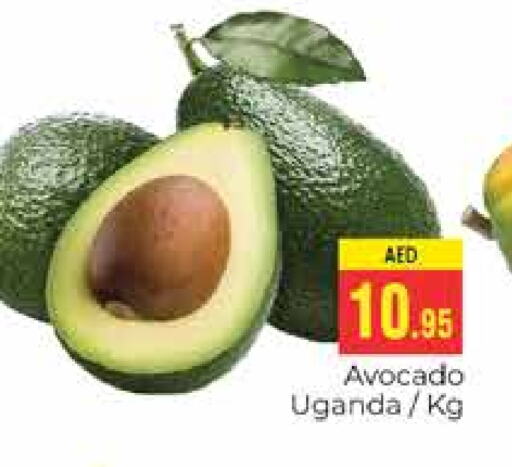 Avacado from Uganda available at PASONS GROUP in UAE - Dubai