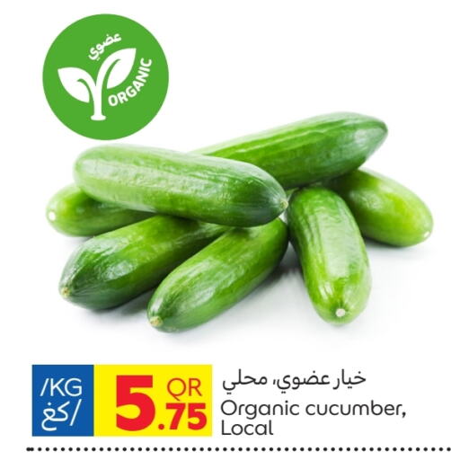 Cucumber available at Carrefour in Qatar - Doha