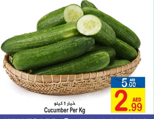 Cucumber available at Sun and Sand Hypermarket in UAE - Ras al Khaimah