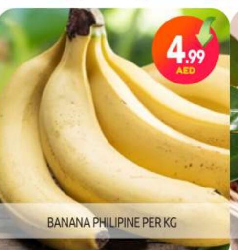 Banana available at BIGmart in UAE - Abu Dhabi