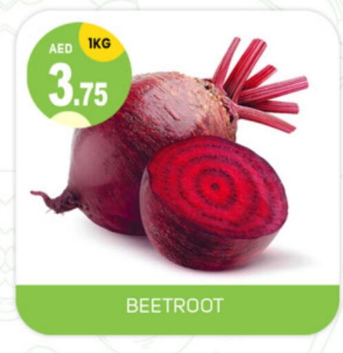 Beetroot available at TALAL MARKET in UAE - Sharjah / Ajman