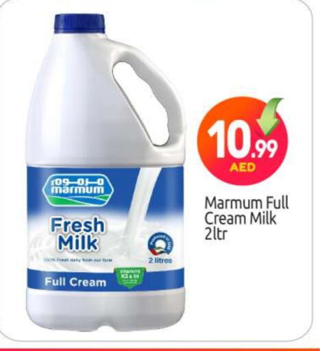 MARMUM Full Cream Milk available at BIGmart in UAE - Abu Dhabi