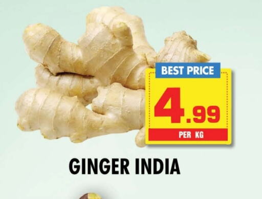 Ginger from India available at NIGHT TO NIGHT DEPARTMENT STORE in UAE - Sharjah / Ajman