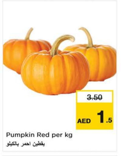 Pumpkin available at لاست تشانس in الإمارات العربية المتحدة , الامارات - ٱلْفُجَيْرَة‎