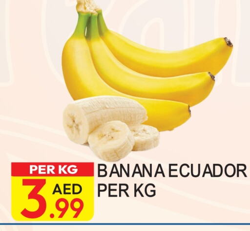 موز from Ecuador available at دريم لاند in الإمارات العربية المتحدة , الامارات - دبي