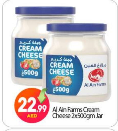 Cream Cheese available at BIGmart in UAE - Abu Dhabi