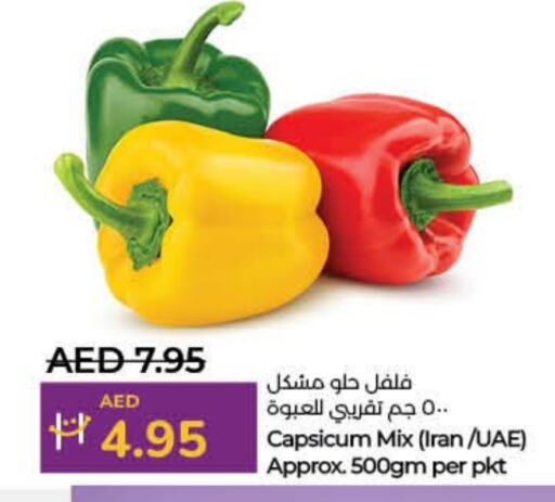 Chilli / Capsicum from Iran available at Lulu Hypermarket in UAE - Ras al Khaimah