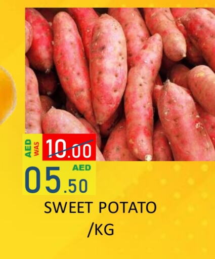 Sweet Potato available at ROYAL GULF HYPERMARKET LLC in UAE - Abu Dhabi