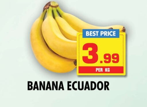 Banana from Ecuador available at NIGHT TO NIGHT DEPARTMENT STORE in UAE - Sharjah / Ajman