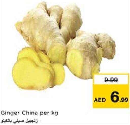 زنجبيل from China available at نستو هايبرماركت in الإمارات العربية المتحدة , الامارات - ٱلْعَيْن‎