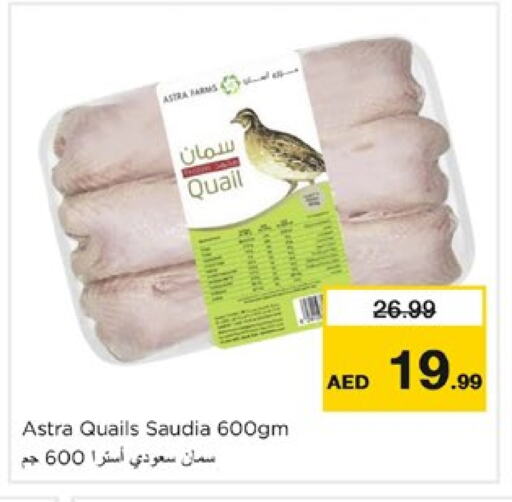 SAUDIA available at Nesto Hypermarket in UAE - Sharjah / Ajman