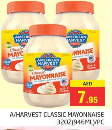 AMERICAN CLASSIC Mayonnaise available at PASONS GROUP in UAE - Dubai