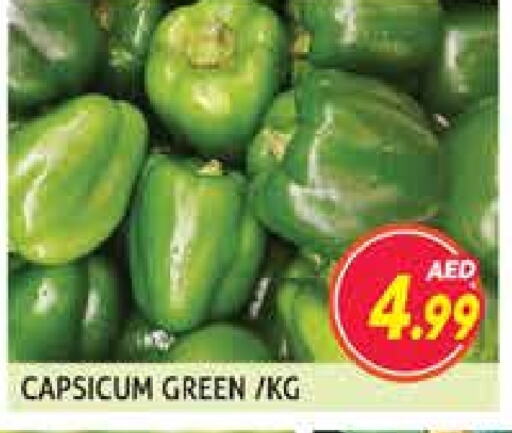 Chilli / Capsicum available at Palm Centre LLC in UAE - Sharjah / Ajman