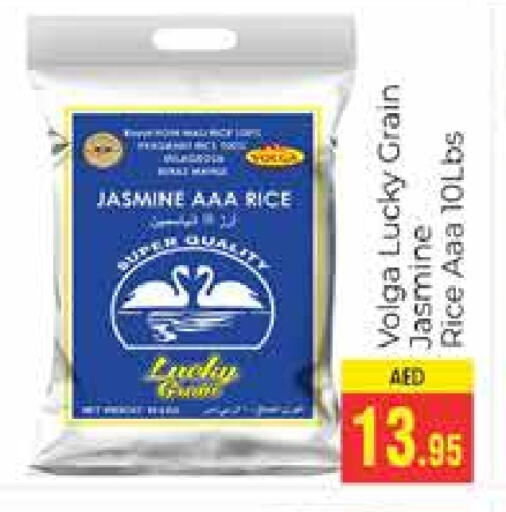 VOLGA Jasmine Rice available at PASONS GROUP in UAE - Dubai