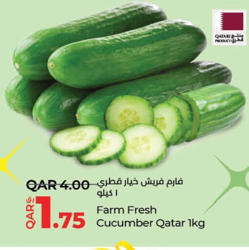 خيار from Qatar available at لولو هايبرماركت in قطر - الدوحة