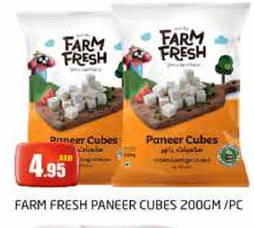 Paneer available at PASONS GROUP in UAE - Dubai