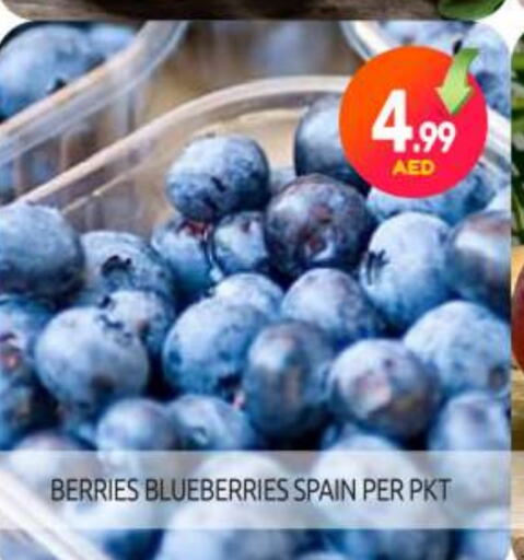 Berries from Spain available at BIGmart in UAE - Abu Dhabi