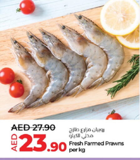 available at لولو هايبرماركت in الإمارات العربية المتحدة , الامارات - ٱلْعَيْن‎