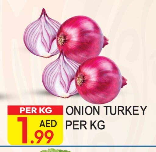 بصل from Turkey available at دريم لاند in الإمارات العربية المتحدة , الامارات - دبي