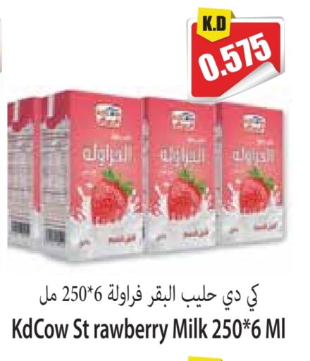 Flavoured Milk available at Locost Supermarket in Kuwait - Kuwait City