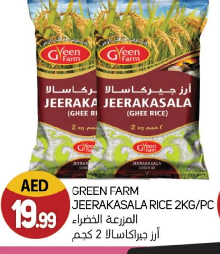 أرز جيراكاسالا available at سوق المبارك هايبرماركت in الإمارات العربية المتحدة , الامارات - الشارقة / عجمان