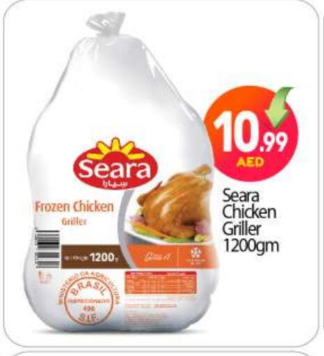 SEARA Frozen Whole Chicken available at BIGmart in UAE - Abu Dhabi