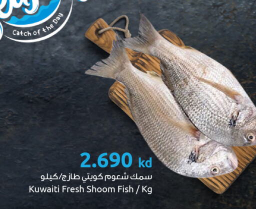 available at The Sultan Center in Kuwait - Ahmadi Governorate