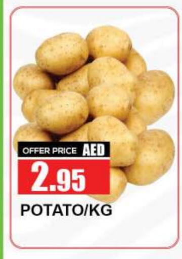 Potato available at Quick Supermarket in UAE - Dubai