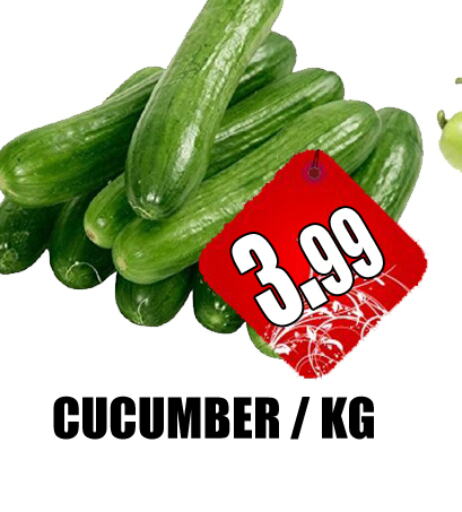 Cucumber available at GRAND MAJESTIC HYPERMARKET in UAE - Abu Dhabi