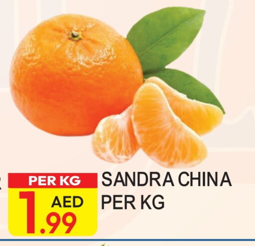 from China available at Dream Land in UAE - Dubai