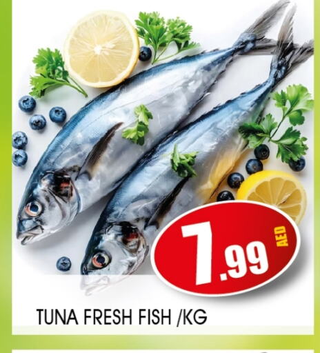 Tuna available at Ain Al Madina Hypermarket in UAE - Sharjah / Ajman