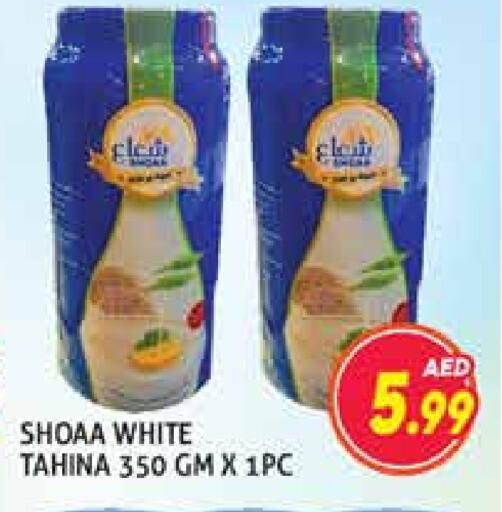 Tahina & Halawa available at Palm Centre LLC in UAE - Sharjah / Ajman