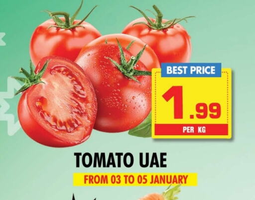 Tomato available at NIGHT TO NIGHT DEPARTMENT STORE in UAE - Sharjah / Ajman