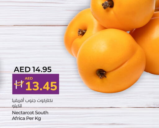 from South Africa available at لولو هايبرماركت in الإمارات العربية المتحدة , الامارات - ٱلْعَيْن‎