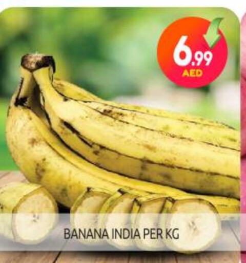 Banana from India available at BIGmart in UAE - Abu Dhabi