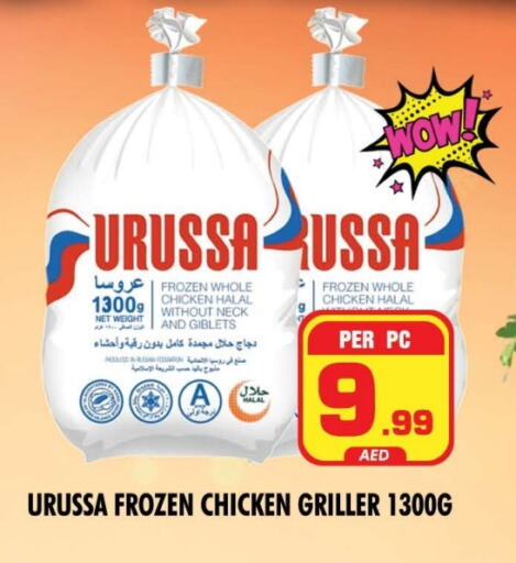 Frozen Whole Chicken available at NIGHT TO NIGHT DEPARTMENT STORE in UAE - Sharjah / Ajman