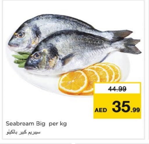 available at Nesto Hypermarket in UAE - Fujairah