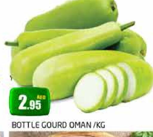 Gourd from Oman available at PASONS GROUP in UAE - Dubai