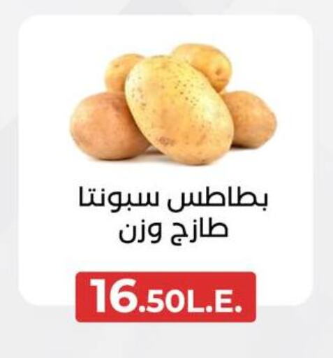 بطاطا available at عرفة ماركت in Egypt - القاهرة