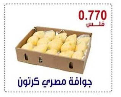 جوافة available at جمعية العقيلة التعاونية in الكويت - محافظة الأحمدي