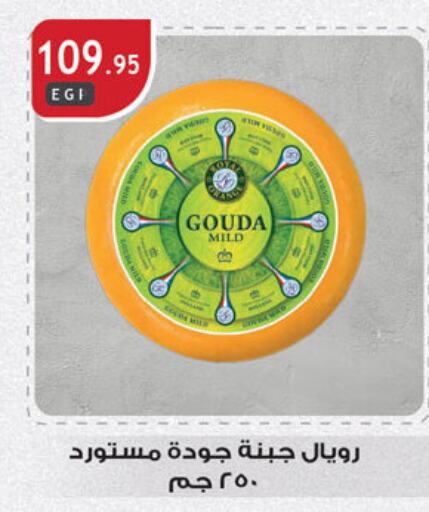 Gouda available at Al Rayah Market   in Egypt - Cairo