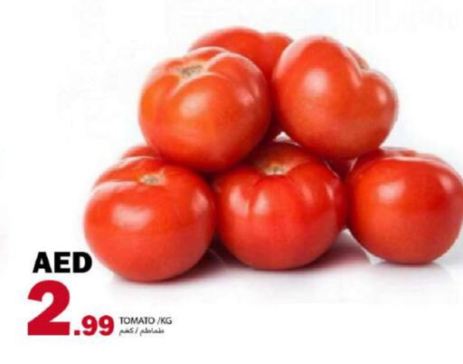 Tomato available at Rawabi Market Ajman in UAE - Sharjah / Ajman