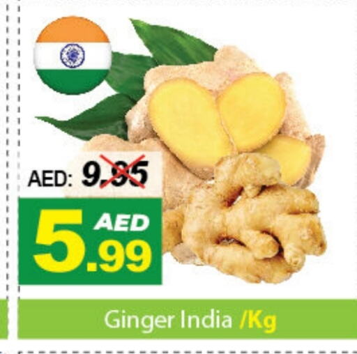 زنجبيل from India available at ديزرت فريش ماركت in الإمارات العربية المتحدة , الامارات - أبو ظبي