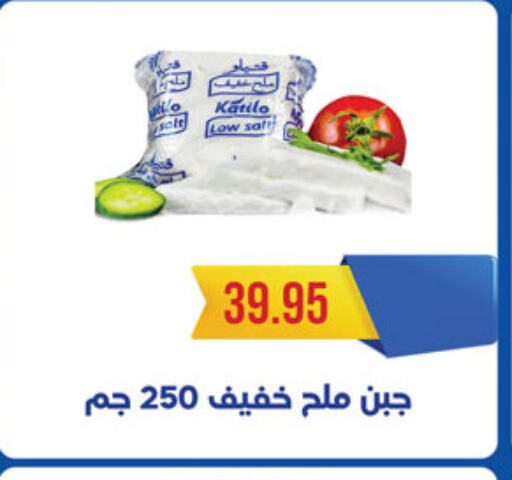 KATILO available at Al Rayah Market   in Egypt - Cairo