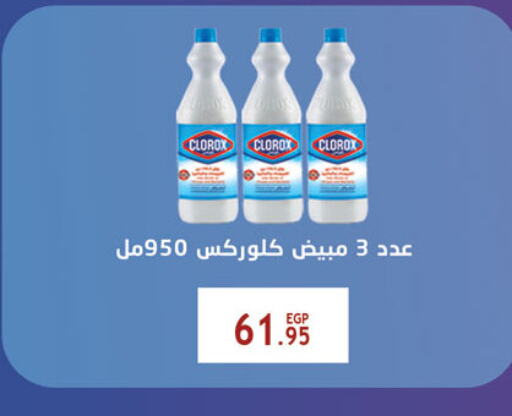 CLOROX General Cleaner available at Al Rayah Market   in Egypt - Cairo