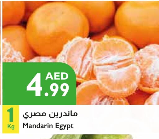 Orange from Egypt available at Istanbul Supermarket in UAE - Al Ain