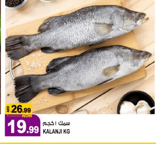 available at Hashim Hypermarket in UAE - Sharjah / Ajman